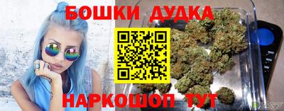 сатива Новозыбков