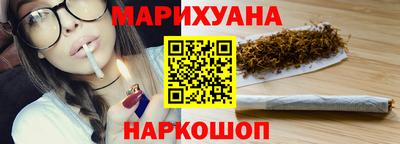 сатива Новозыбков