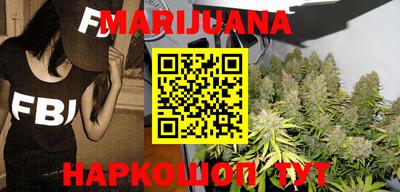 сатива Новозыбков