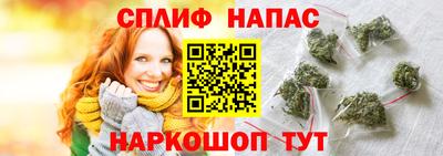 сатива Новозыбков