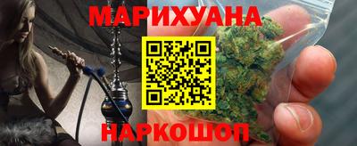 сатива Новозыбков