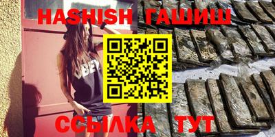 сатива Новозыбков
