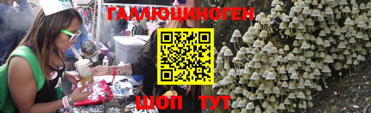 Галлюциногенные грибы GOLDEN TEACHER  Вход с VPN  Торжок 