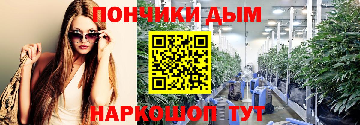 Бошки марихуана конопля  Вход с VPN  Бошки марихуана марихуана  Бошки марихуана Amnesia  Торжок 